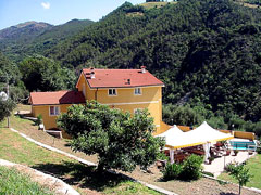 Аргентеа